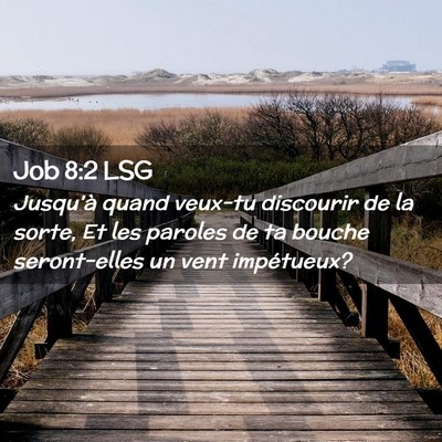 Picture 02 - Job 8:2 LSG - Jusqu'à quand veux-tu discourir de la sorte, Et - Bible Verse Picture