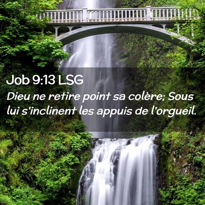 Picture 02 - Job 9:13 LSG - Dieu ne retire point sa colère; Sous lui - Bible Verse Picture