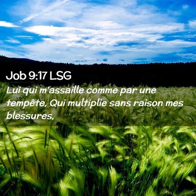 Picture 02 - Job 9:17 LSG - Lui qui m'assaille comme par une tempête, Qui - Bible Verse Picture