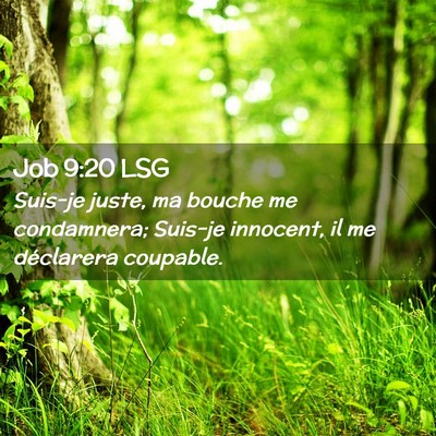 Picture 02 - Job 9:20 LSG - Suis-je juste, ma bouche me condamnera; Suis-je - Bible Verse Picture