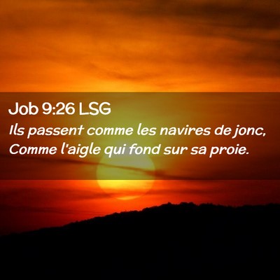 Picture 02 - Job 9:26 LSG - Ils passent comme les navires de jonc, Comme - Bible Verse Picture