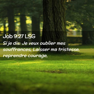 Picture 02 - Job 9:27 LSG - Si je dis: Je veux oublier mes souffrances, - Bible Verse Picture
