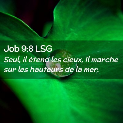 Picture 02 - Job 9:8 LSG - Seul, il étend les cieux, Il marche sur les - Bible Verse Picture