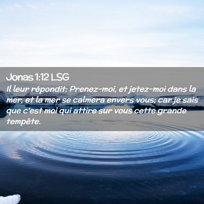 Picture 02 - Jonas 1:12 LSG - Il leur répondit: Prenez-moi, et jetez-moi dans - Bible Verse Picture