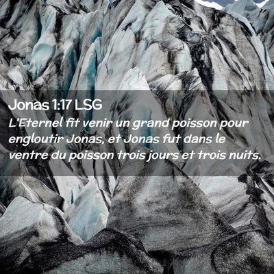 Picture 02 - Jonas 1:17 LSG - L'Eternel fit venir un grand poisson pour - Bible Verse Picture