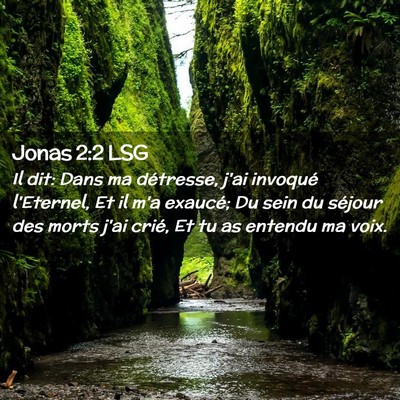 Picture 02 - Jonas 2:2 LSG - Il dit: Dans ma détresse, j'ai invoqué - Bible Verse Picture