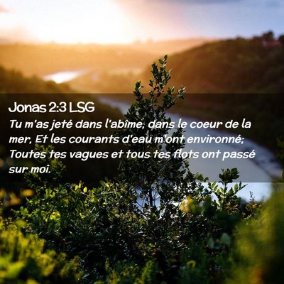 Picture 02 - Jonas 2:3 LSG - Tu m'as jeté dans l'abîme, dans le coeur de la - Bible Verse Picture