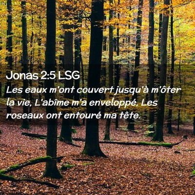 Picture 02 - Jonas 2:5 LSG - Les eaux m'ont couvert jusqu'à m'ôter la vie, - Bible Verse Picture