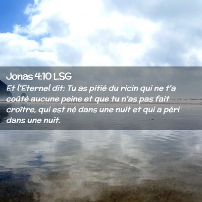 Picture 02 - Jonas 4:10 LSG - Et l'Eternel dit: Tu as pitié du ricin qui ne - Bible Verse Picture