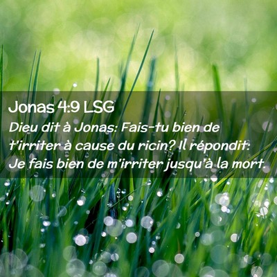 Picture 02 - Jonas 4:9 LSG - Dieu dit à Jonas: Fais-tu bien de t'irriter à - Bible Verse Picture