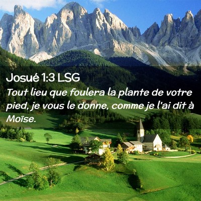 Picture 02 - Josué 1:3 LSG - Tout lieu que foulera la plante de votre pied, je - Bible Verse Picture