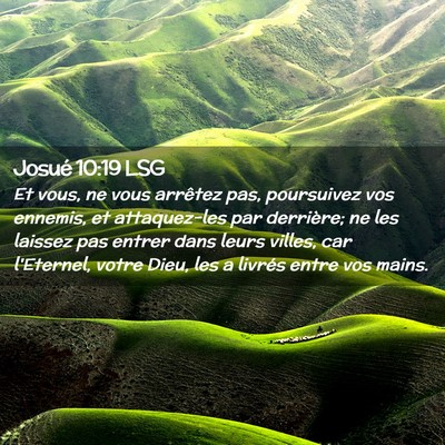 Picture 02 - Josué 10:19 LSG - Et vous, ne vous arrêtez pas, poursuivez vos - Bible Verse Picture