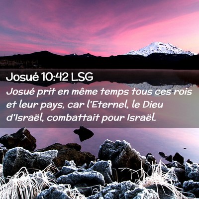 Picture 02 - Josué 10:42 LSG - Josué prit en même temps tous ces rois et leur - Bible Verse Picture