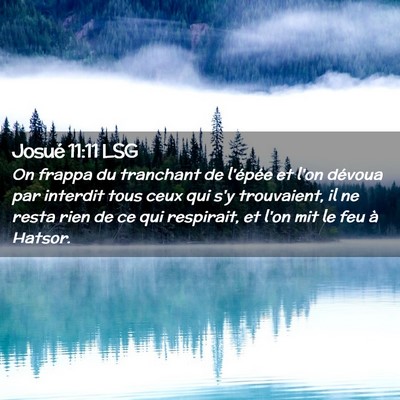 Picture 02 - Josué 11:11 LSG - On frappa du tranchant de l'épée et l'on - Bible Verse Picture
