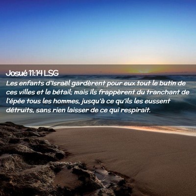 Picture 02 - Josué 11:14 LSG - Les enfants d'Israël gardèrent pour eux tout le - Bible Verse Picture
