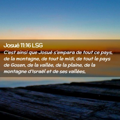 Picture 02 - Josué 11:16 LSG - C'est ainsi que Josué s'empara de tout ce pays, - Bible Verse Picture