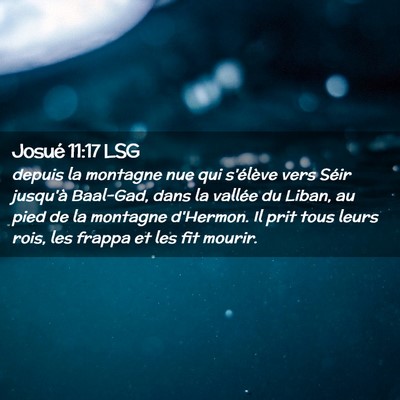 Picture 02 - Josué 11:17 LSG - depuis la montagne nue qui s'élève vers Séir - Bible Verse Picture