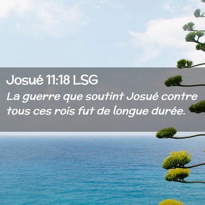 Picture 02 - Josué 11:18 LSG - La guerre que soutint Josué contre tous ces rois - Bible Verse Picture