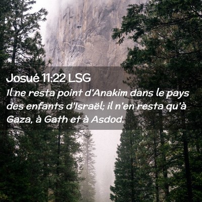 Picture 02 - Josué 11:22 LSG - Il ne resta point d'Anakim dans le pays des - Bible Verse Picture