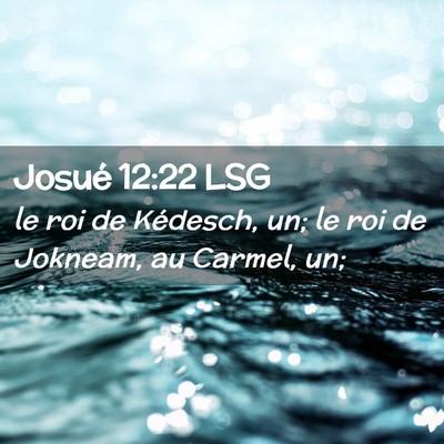 Picture 02 - Josué 12:22 LSG - le roi de Kédesch, un; le roi de Jokneam, au - Bible Verse Picture