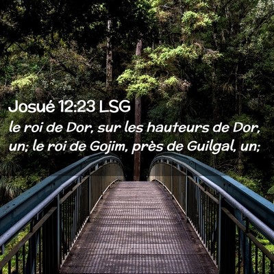 Picture 02 - Josué 12:23 LSG - le roi de Dor, sur les hauteurs de Dor, un; le - Bible Verse Picture