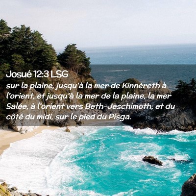 Picture 02 - Josué 12:3 LSG - sur la plaine, jusqu'à la mer de Kinnéreth à - Bible Verse Picture