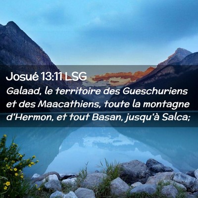 Picture 02 - Josué 13:11 LSG - Galaad, le territoire des Gueschuriens et des - Bible Verse Picture