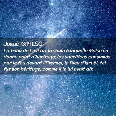 Picture 02 - Josué 13:14 LSG - La tribu de Lévi fut la seule à laquelle Moïse - Bible Verse Picture