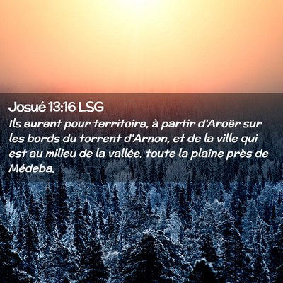 Picture 02 - Josué 13:16 LSG - Ils eurent pour territoire, à partir d'Aroër - Bible Verse Picture