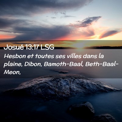 Picture 02 - Josué 13:17 LSG - Hesbon et toutes ses villes dans la plaine, - Bible Verse Picture