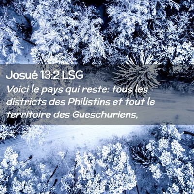 Picture 02 - Josué 13:2 LSG - Voici le pays qui reste: tous les districts des - Bible Verse Picture