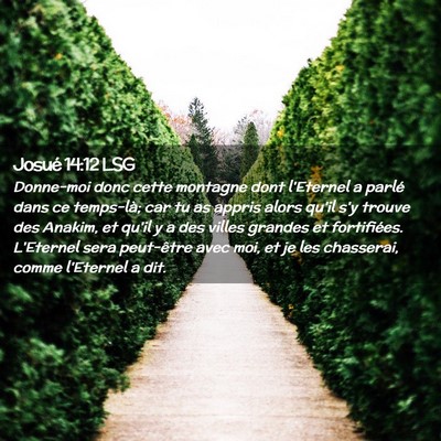 Picture 02 - Josué 14:12 LSG - Donne-moi donc cette montagne dont l'Eternel a - Bible Verse Picture