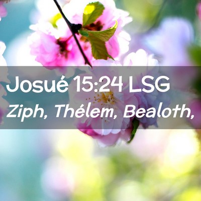 Picture 02 - Josué 15:24 LSG - Ziph, Thélem, - Bible Verse Picture