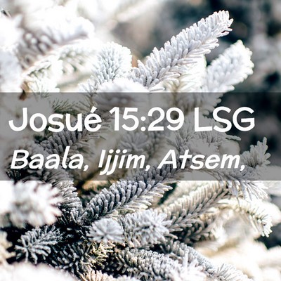 Picture 02 - Josué 15:29 LSG - Baala, Ijjim, - Bible Verse Picture