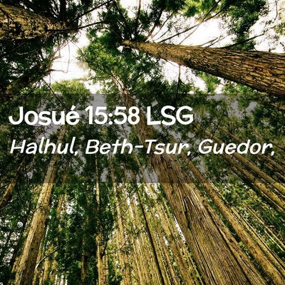 Picture 02 - Josué 15:58 LSG - Halhul, Beth-Tsur, - Bible Verse Picture