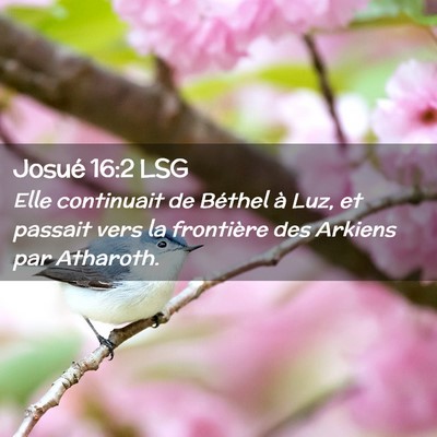 Picture 02 - Josué 16:2 LSG - Elle continuait de Béthel à Luz, et passait - Bible Verse Picture