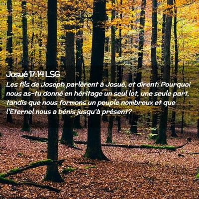 Picture 02 - Josué 17:14 LSG - Les fils de Joseph parlèrent à Josué, et - Bible Verse Picture