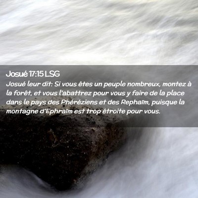 Picture 02 - Josué 17:15 LSG - Josué leur dit: Si vous êtes un peuple - Bible Verse Picture