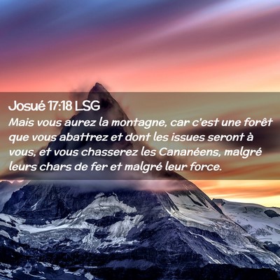 Picture 02 - Josué 17:18 LSG - Mais vous aurez la montagne, car c'est une forêt - Bible Verse Picture