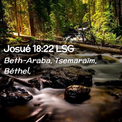 Picture 02 - Josué 18:22 LSG - Beth-Araba, Tsemaraïm, - Bible Verse Picture