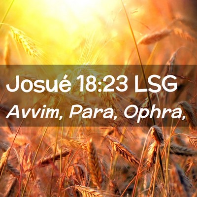 Picture 02 - Josué 18:23 LSG - Avvim, Para, - Bible Verse Picture