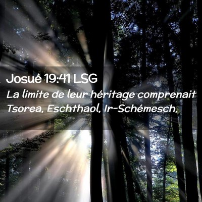 Picture 02 - Josué 19:41 LSG - La limite de leur héritage comprenait Tsorea, - Bible Verse Picture