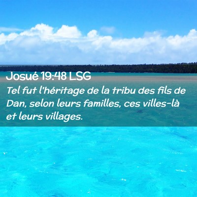 Picture 02 - Josué 19:48 LSG - Tel fut l'héritage de la tribu des fils de Dan, - Bible Verse Picture