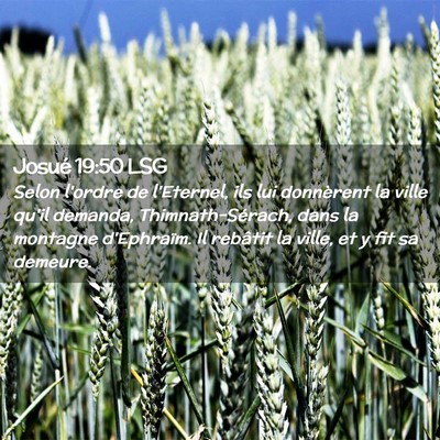 Picture 02 - Josué 19:50 LSG - Selon l'ordre de l'Eternel, ils lui donnèrent la - Bible Verse Picture