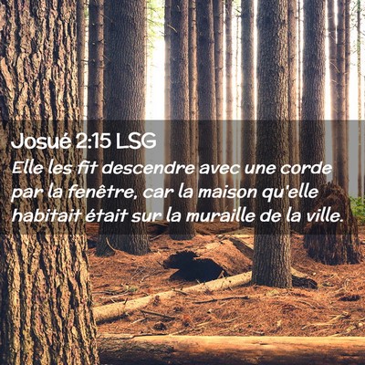 Picture 02 - Josué 2:15 LSG - Elle les fit descendre avec une corde par la - Bible Verse Picture