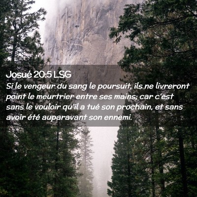 Picture 02 - Josué 20:5 LSG - Si le vengeur du sang le poursuit, ils ne - Bible Verse Picture