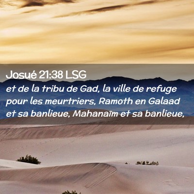 Picture 02 - Josué 21:38 LSG - et de la tribu de Gad, la ville de refuge pour - Bible Verse Picture