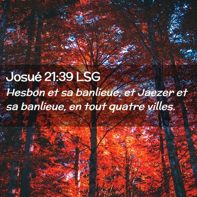 Picture 02 - Josué 21:39 LSG - Hesbon et sa banlieue, et Jaezer et sa banlieue, - Bible Verse Picture