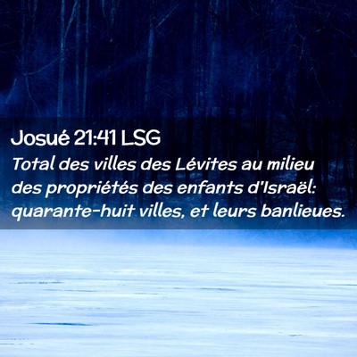 Picture 02 - Josué 21:41 LSG - Total des villes des Lévites au milieu des - Bible Verse Picture