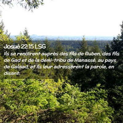 Picture 02 - Josué 22:15 LSG - Ils se rendirent auprès des fils de Ruben, des - Bible Verse Picture